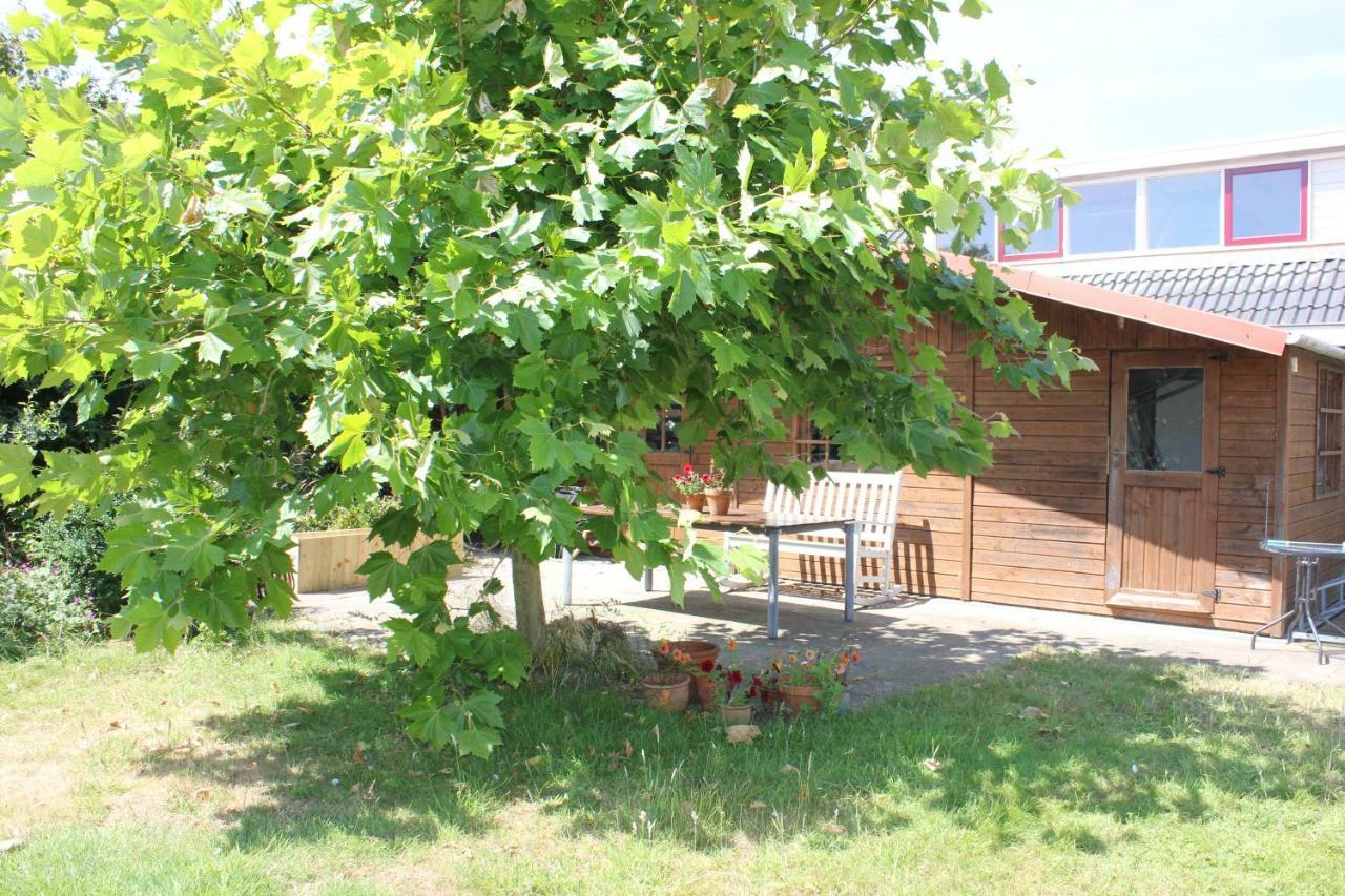 Bluesheep-Texel Bed & Breakfast De Koog  Exterior photo